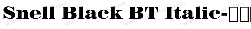 Snell Black BT Italic字体转换